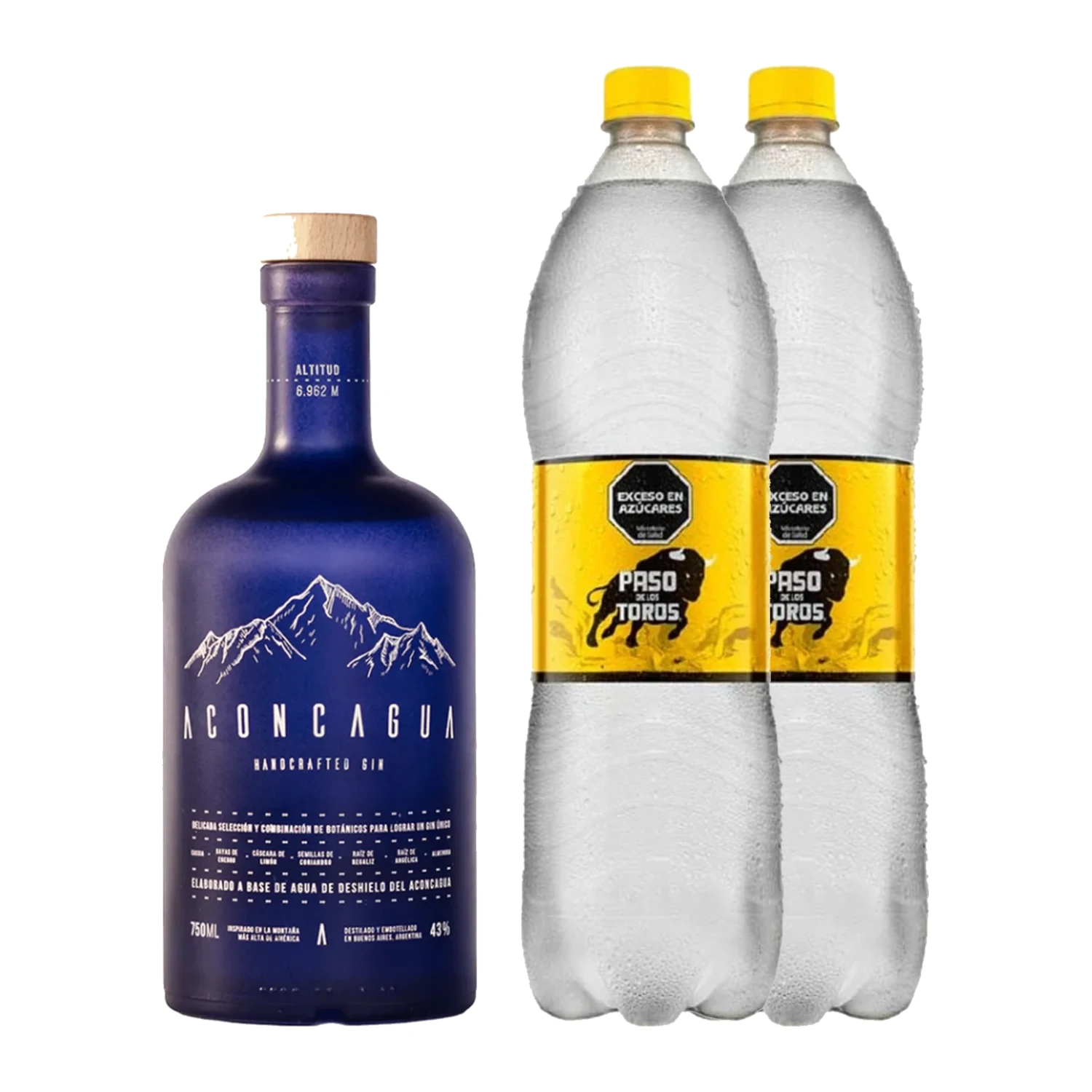 Combo Gin Tonic Aconcagua Azul