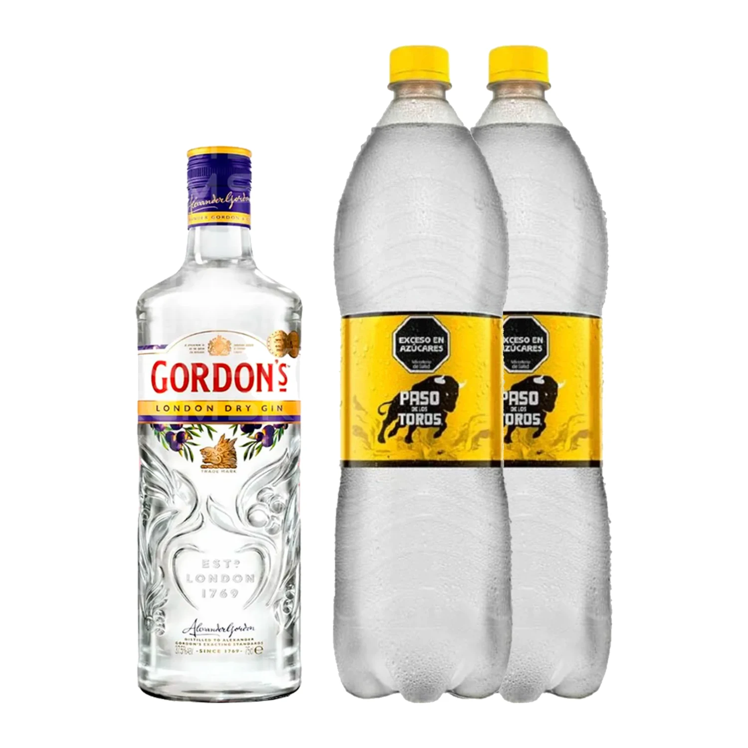 Combo Gin Tonic Gordon's